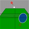 3D ping pong - Športy