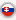 Slovakça