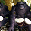 Bonobo's Bongo - Rozrywka