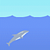 Dolphin Olympics - Sjov