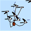 Swallows - Schwalben - Spaß