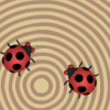 Crazy lady bugs - Qejf